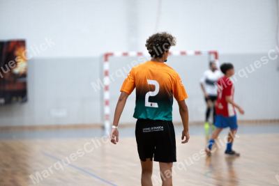 Foto 446